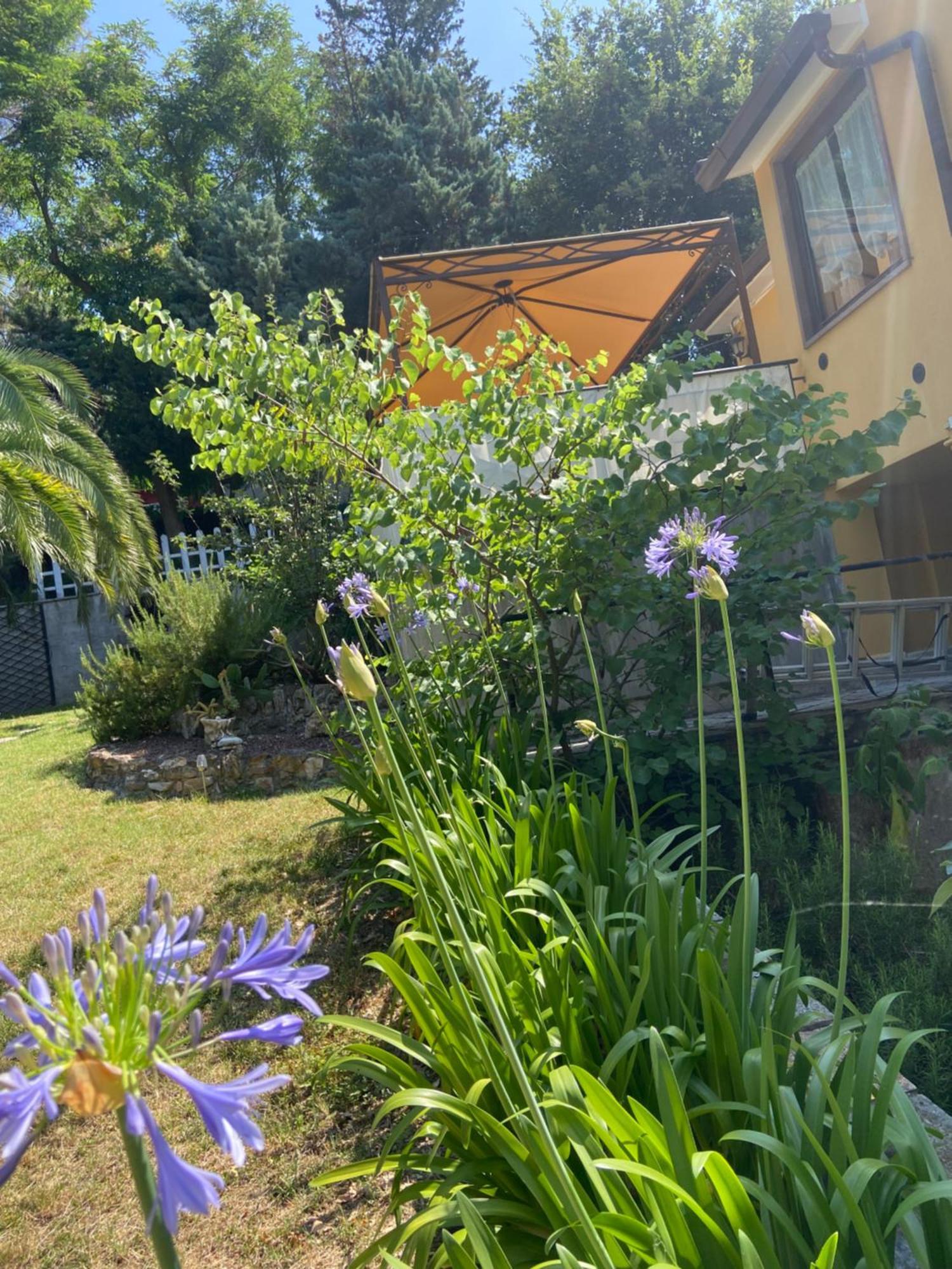 Villa Antonella Castellina Marittima Zewnętrze zdjęcie